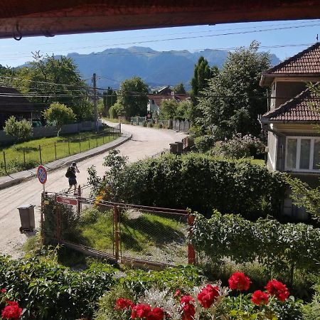 Vila Ovi Hotel Bran  Buitenkant foto