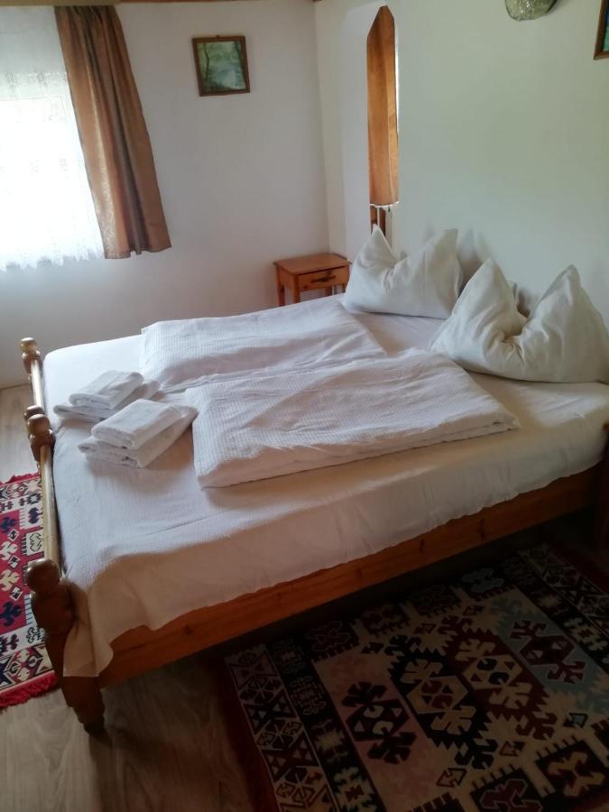 Vila Ovi Hotel Bran  Buitenkant foto