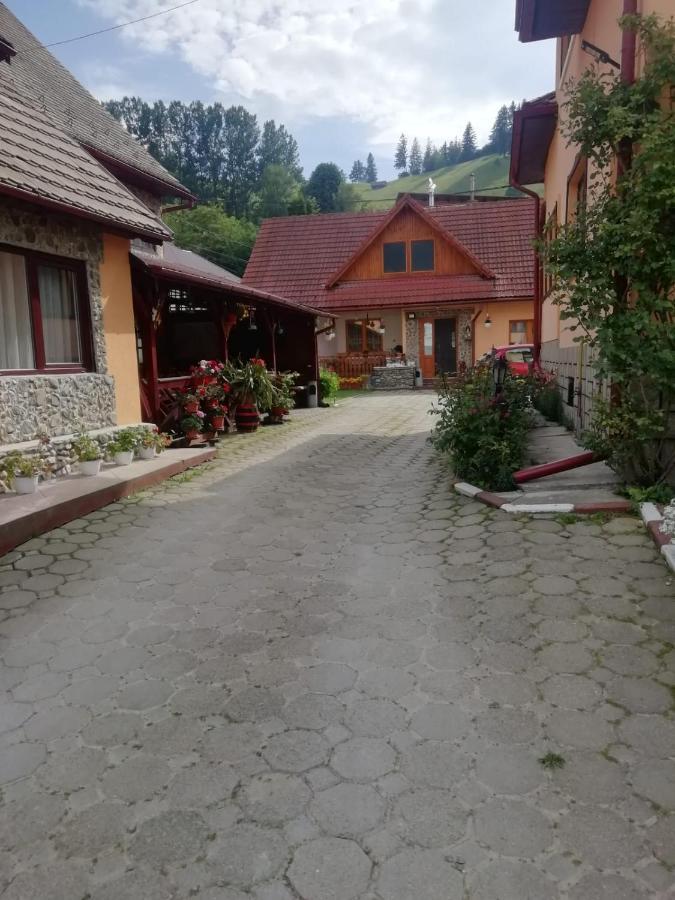 Vila Ovi Hotel Bran  Buitenkant foto