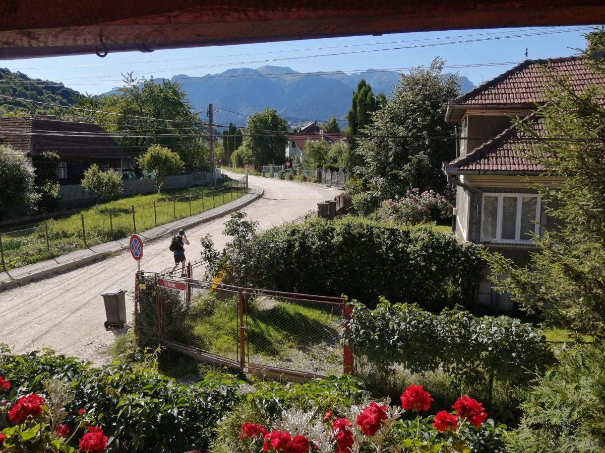 Vila Ovi Hotel Bran  Buitenkant foto